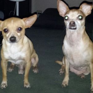 Meet your Posher, Simy